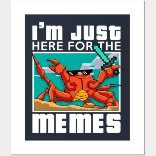 I'm just here for the MEMES Posters and Art